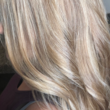 Photo #1: Dana Meredith Hair