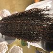Photo #3: Extelle Hair Studii
