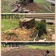 Photo #1: Elite Stump Grind Services, LLC