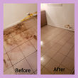 Photo #4: Magical Mopper's