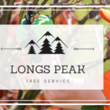 Photo #1: Longs Peak Tree Service