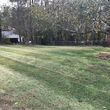 Photo #4: Salem Turf