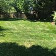Photo #5: Salem Turf