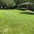 Photo #6: Salem Turf