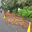Photo #3: Rainmont Landscape Maintenance