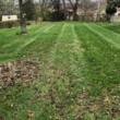 Photo #6: Cole's Lawn Care & Landscape