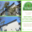 Photo #3: Ramos Tree Trimming & Lawn Care