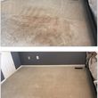 Photo #1: The Best In Carpet