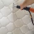 Photo #4: The Best In Carpet