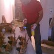 Photo #2: Handy Als