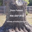 Photo #1: JUAN PALMAS TREE SERVICE & STUMP GRINDING