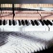 Photo #1: Scroggins Piano Service