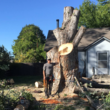 Photo #2: Primetime Pruning and Tree Removals