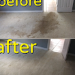 Photo #1: Economy Carpet Cleaning