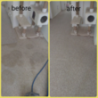 Photo #4: Economy Carpet Cleaning