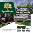 Photo #2: Kapok Tree Service