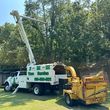 Photo #2: JMM TREE SERVICE