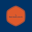 Logo Best Movers Pros, LLC