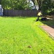 Photo #1: Woody's Lawn Care