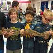 Photo #4: Kreepy Kreatures Reptile Shows