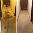 Photo #2: Quality Carpet and Tile Cleaning