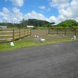 Photo #1: Ranch Fencing