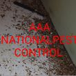 Photo #3: AAA NATIONAL PEST CONTROL