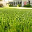 Photo #1: Dream Lawns by Eric