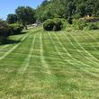Photo #1: CruCut lawncare