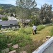 Photo #5: 🌵Manny's complete lawn care🌴