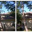 Photo #3: Lupe's Tree Service