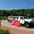 Photo #2: Lovely Limo