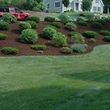 Photo #1: Zacarias Tree & Landscaping Services