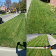Photo #6: Turf & Property Maintenance