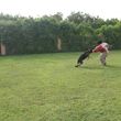 Photo #1: ECONOMICAL DOG TRAINING