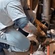 Photo #2: A-1 Drain Cleaning