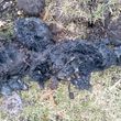 Photo #5: A-1 Drain Cleaning