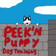 Photo #1: Peek'n Puppy Dog Training