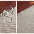 Photo #2: SteamLine carpet cleaning restoration