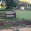 Photo #4: Farm Fence Work
