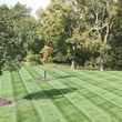 Photo #1: Prestige Lawn Mowing