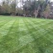 Photo #4: Prestige Lawn Mowing