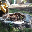 Photo #3: Stump Slashers