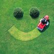 Photo #6: Scott's Professional Lawncare