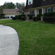 Photo #1: New Green Lawn and Landscape