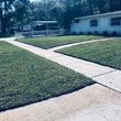 Photo #6: New Green Lawn and Landscape