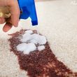 Photo #3: Aladdin Oriental Rug Cleaning