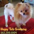 Photo #2: Happy Tails Grooming