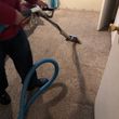 Photo #1: Worry Free Carpet service