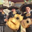 Mariachi Azteca de Oro - 6 Photos - (602) 743-4244 - Phoenix, AZ - HireRush